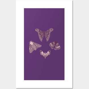 Purple Moths Posters and Art